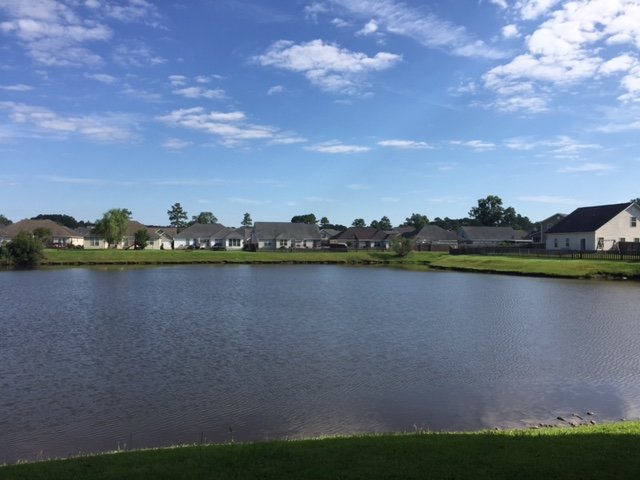 *Available Now* 199 Lancaster Way property image