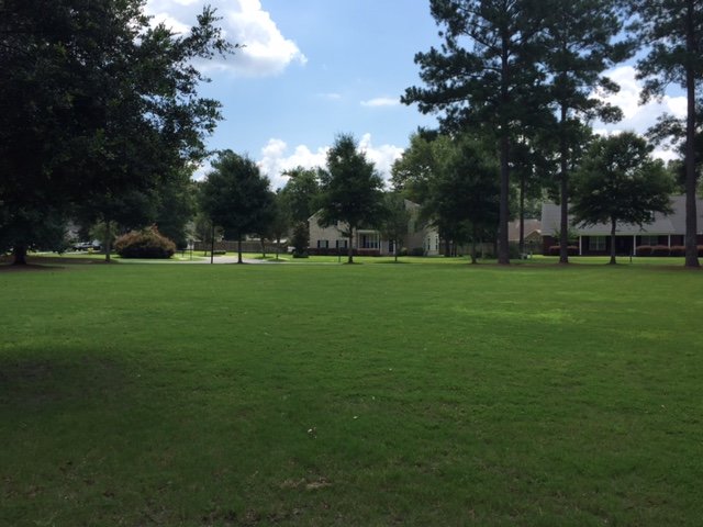 *Available Now* 199 Lancaster Way property image